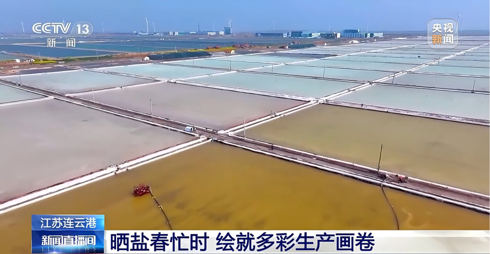 春季扒盐忙(1)