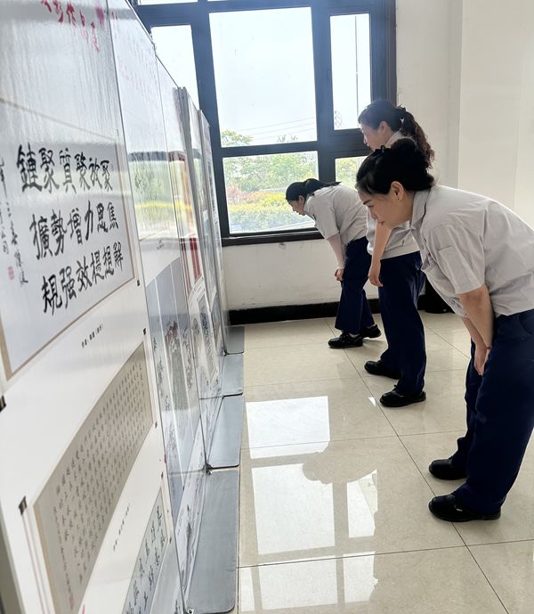 微信图片_20250604120151_副本